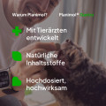 Planimol Gastro Tabletten